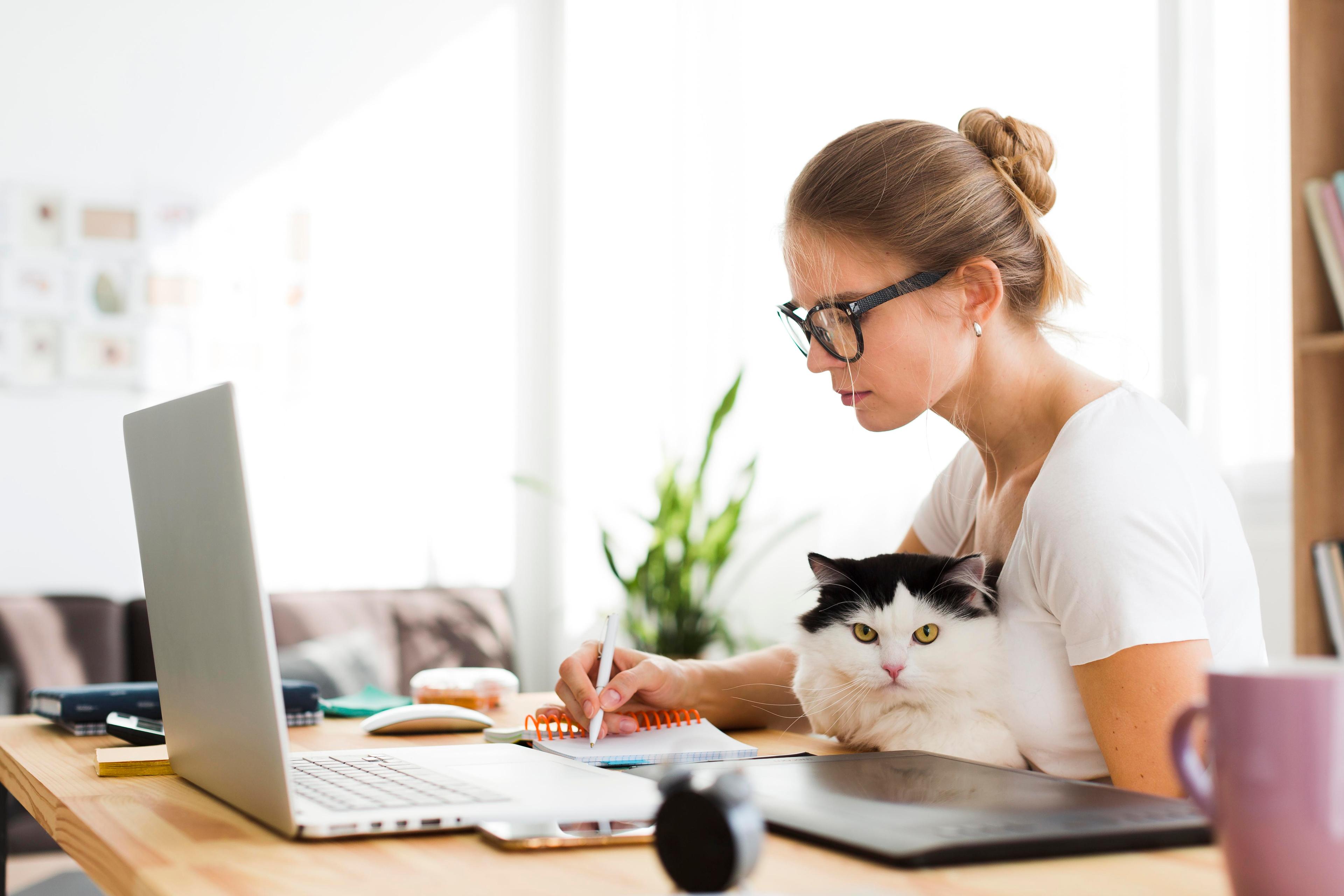 Home Office – o desafio nos dias atuais Home Office – o desafio nos dias atuais